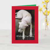眠る穏やかな白い犬のクリスマスホリデー カード (黄色い花)