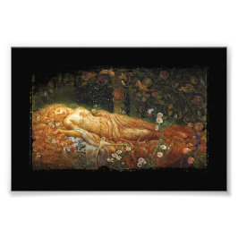 眠る美しいとハープ フォトプリント           