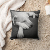 眠る美しい犬の白黒の写真|過去記事 クッション (ブランケット)