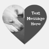 眠る美しい犬の白黒の写真|過去記事 ハートシール (正面)