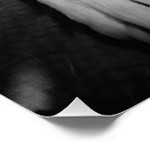 眠る美しい犬の白黒の写真|過去記事 ポスター (コーナー)