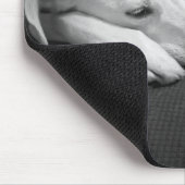 眠る美しい犬の白黒の写真|過去記事 マウスパッド (コーナー)