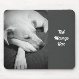 眠る美しい犬の白黒の写真|過去記事 マウスパッド