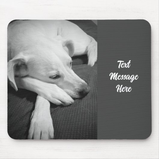 眠る美しい犬の白黒の写真|過去記事 マウスパッド (正面)