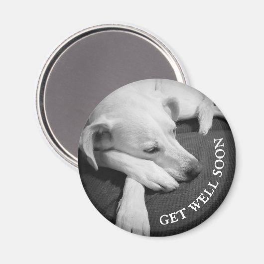 眠る美しい犬の白黒の写真|過去記事 マグネット (正面/裏面)