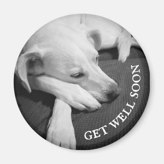 眠る美しい犬の白黒の写真|過去記事 マグネット (正面)