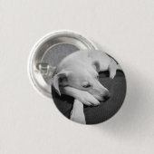 眠る美しい犬の白黒の写真|過去記事 缶バッジ (正面&裏面)