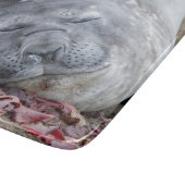 眠る象のアザラシ カッティングボード (角)