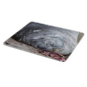 眠る象のアザラシ カッティングボード (角)