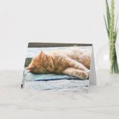 眠る長毛ジンジャー猫 カード (正面)