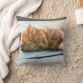 眠る長毛ジンジャー猫 クッション (ブランケット)