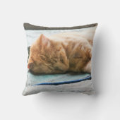 眠る長毛ジンジャー猫 クッション (裏面)