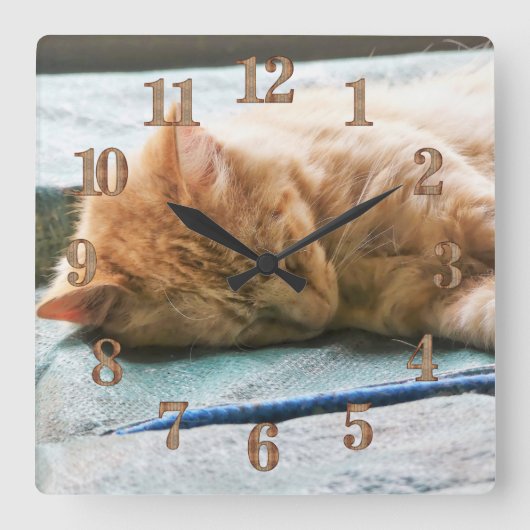 眠る長毛ジンジャー猫 スクエア壁時計 (正面)