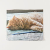 眠る長毛ジンジャー猫 タペストリー (正面(横))