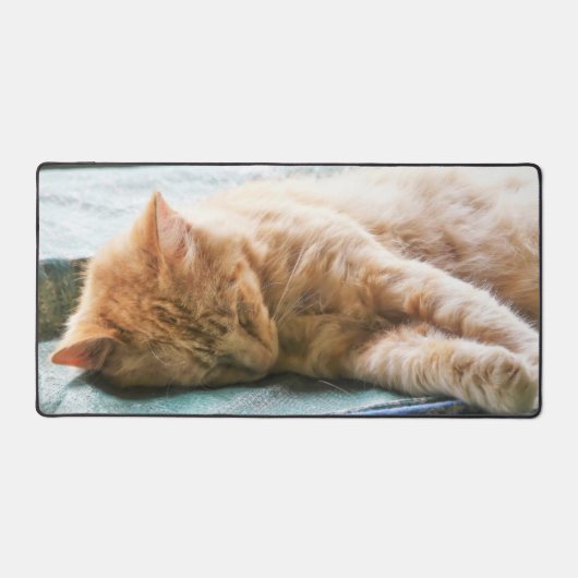 眠る長毛ジンジャー猫 デスクマット (正面)
