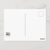 眠る長毛ジンジャー猫 ポストカード (裏面)