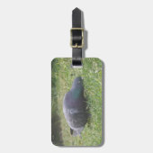眠る鳩カスタム荷札 ラゲッジタグ (正面縦)