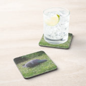 眠る鳩コルクコースター コースター (右側)