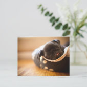 眠る黒い中国のパグ子犬 ポストカード (スタンド正面)