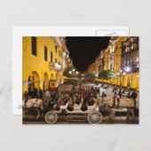 眠れないリマ ポストカード (正面/裏面)