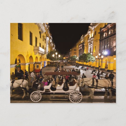 眠れないリマ ポストカード (正面)