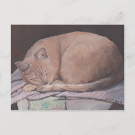 眠れるキティ猫アートはがき ポストカード