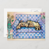 眠れるタビー猫はがき2 ポストカード (正面/裏面)