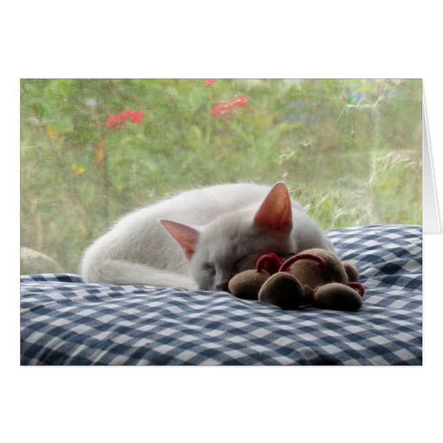 眠れる森の美女 (正面横)