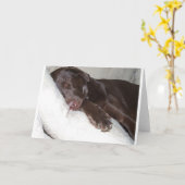 眠れる森の美女 カード (黄色い花)