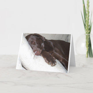 眠れる森の美女 カード