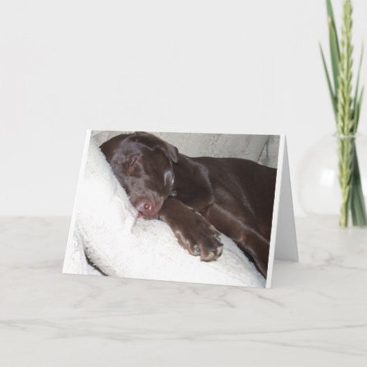 眠れる森の美女 カード (正面)