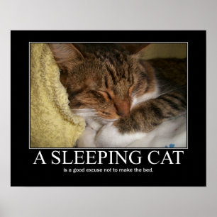 眠れる猫のアートワーク ポスター
