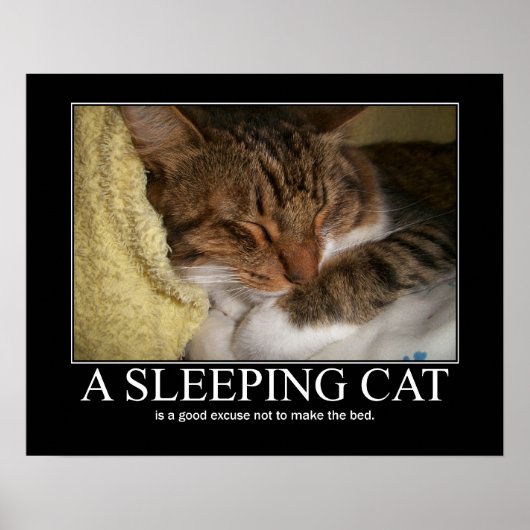 眠れる猫のアートワーク ポスター (正面)