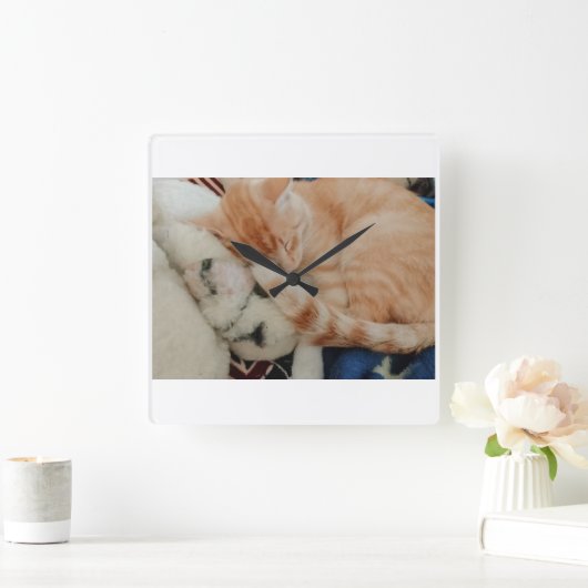 眠れる猫の写真の壁掛け時計 スクエア壁時計 (ホーム)