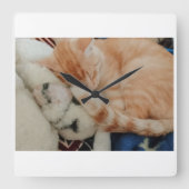 眠れる猫の写真の壁掛け時計 スクエア壁時計 (正面)