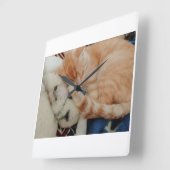 眠れる猫の写真の壁掛け時計 スクエア壁時計 (傾斜)