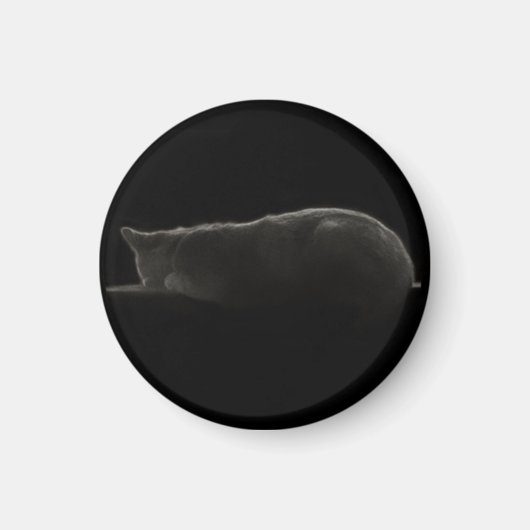 眠れる猫シルエット写真 マグネット (正面)