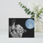 眠れる虎 ポストカード (スタンド正面)