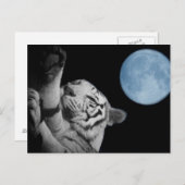 眠れる虎 ポストカード (正面/裏面)