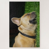 眠フランスのるブルドッグ ジグソーパズル (縦)