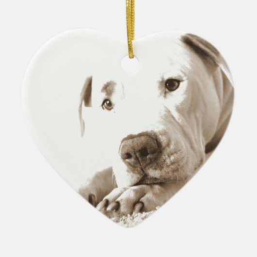 眠フレンドリーい白いピットブル嫌い行為は繁殖しない セラミックオーナメント (正面)