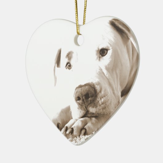 眠フレンドリーい白いピットブル嫌い行為は繁殖しない セラミックオーナメント (左)