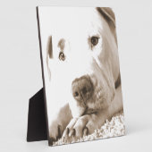 眠フレンドリーい白いピットブル嫌い行為は繁殖しない フォトプラーク (側面)