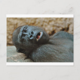 「眠感じい」 ポストカード