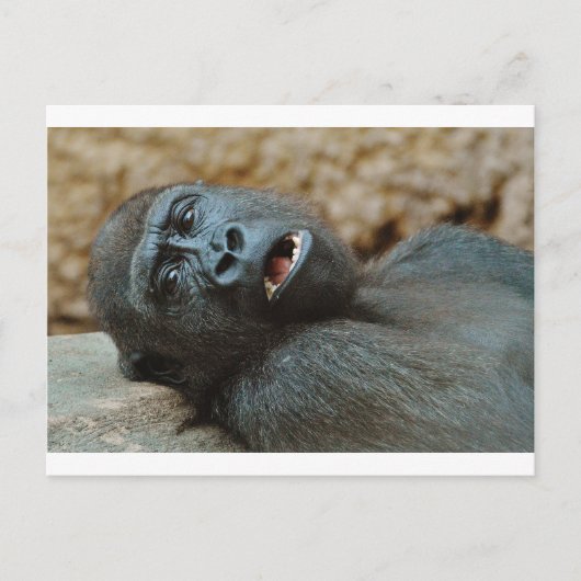 「眠感じい」 ポストカード (正面)