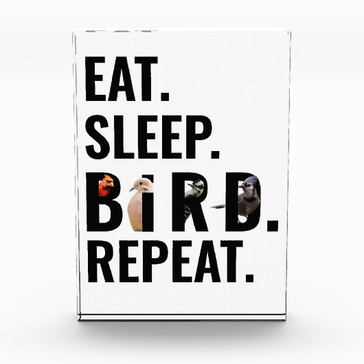 眠食べり鳥の繰り返し観察 フォトブロック (正面)