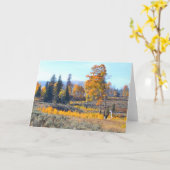 眩ます紅葉 カード (黄色い花)