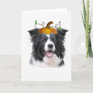 眩暈がするようなDogz~BorderのコリーのノートCard~Halloween カード