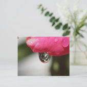 眺めと上がりました ポストカード (スタンド正面)