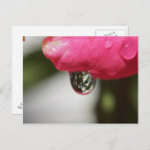 眺めと上がりました ポストカード (正面/裏面)